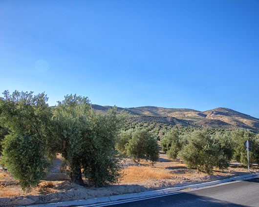 Sierra Mágina
