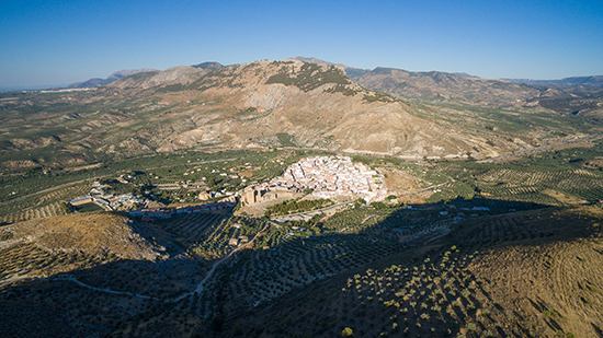 Aceite de Sierra Magina