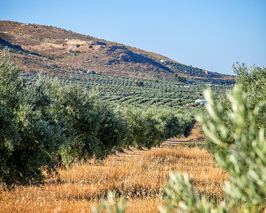 La Guardia de Jaén