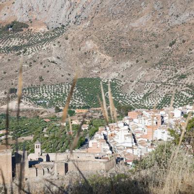 Aceite de la guardia de jaen
