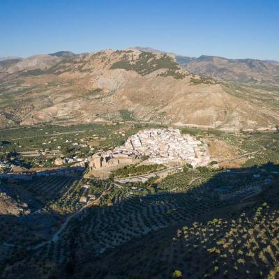 Aceite de Sierra Magina