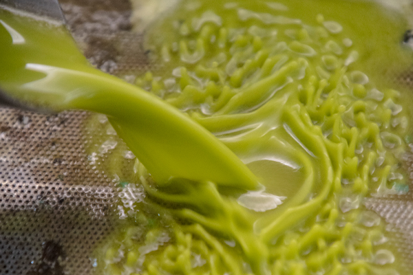 Señorio de Mesía en informativos TVE